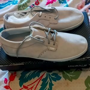 DVS skating shoes